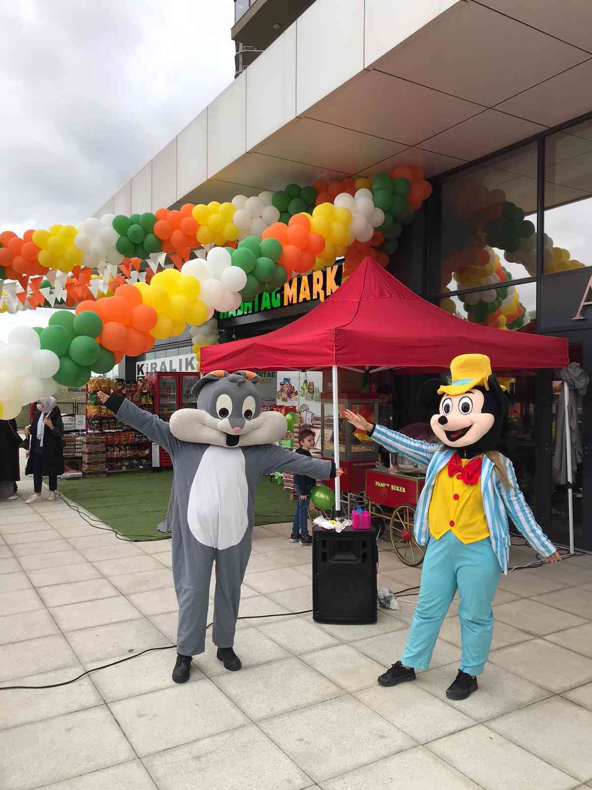 a&ccedil;ılış organizasyonu