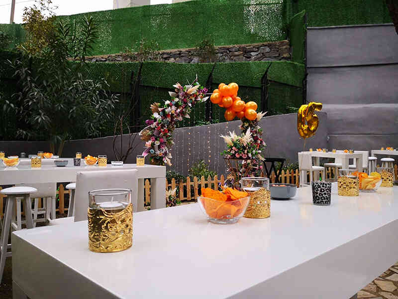 doğum g&uuml;n&uuml; organizasyonu