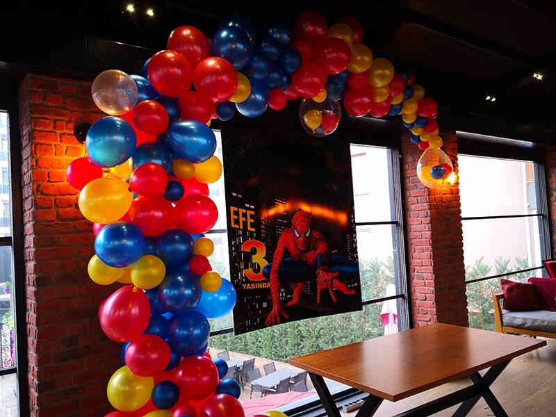 doğum g&uuml;n&uuml; organizasyonu