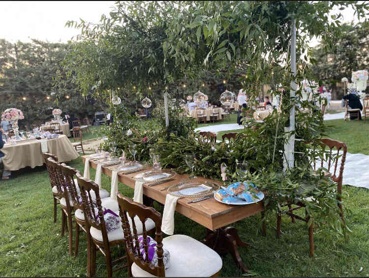 napolyon sandalye kiralama