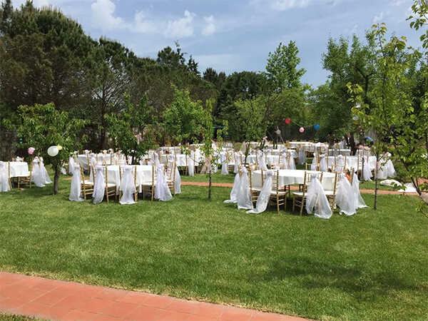 Masa Örtüsü Kiralama